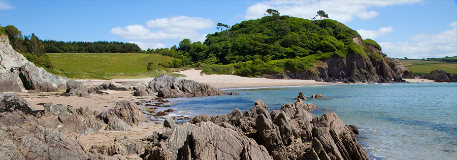 Millington Tunnicliff Estate Agents