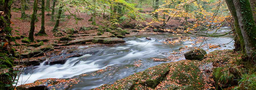 Millington Tunnicliff